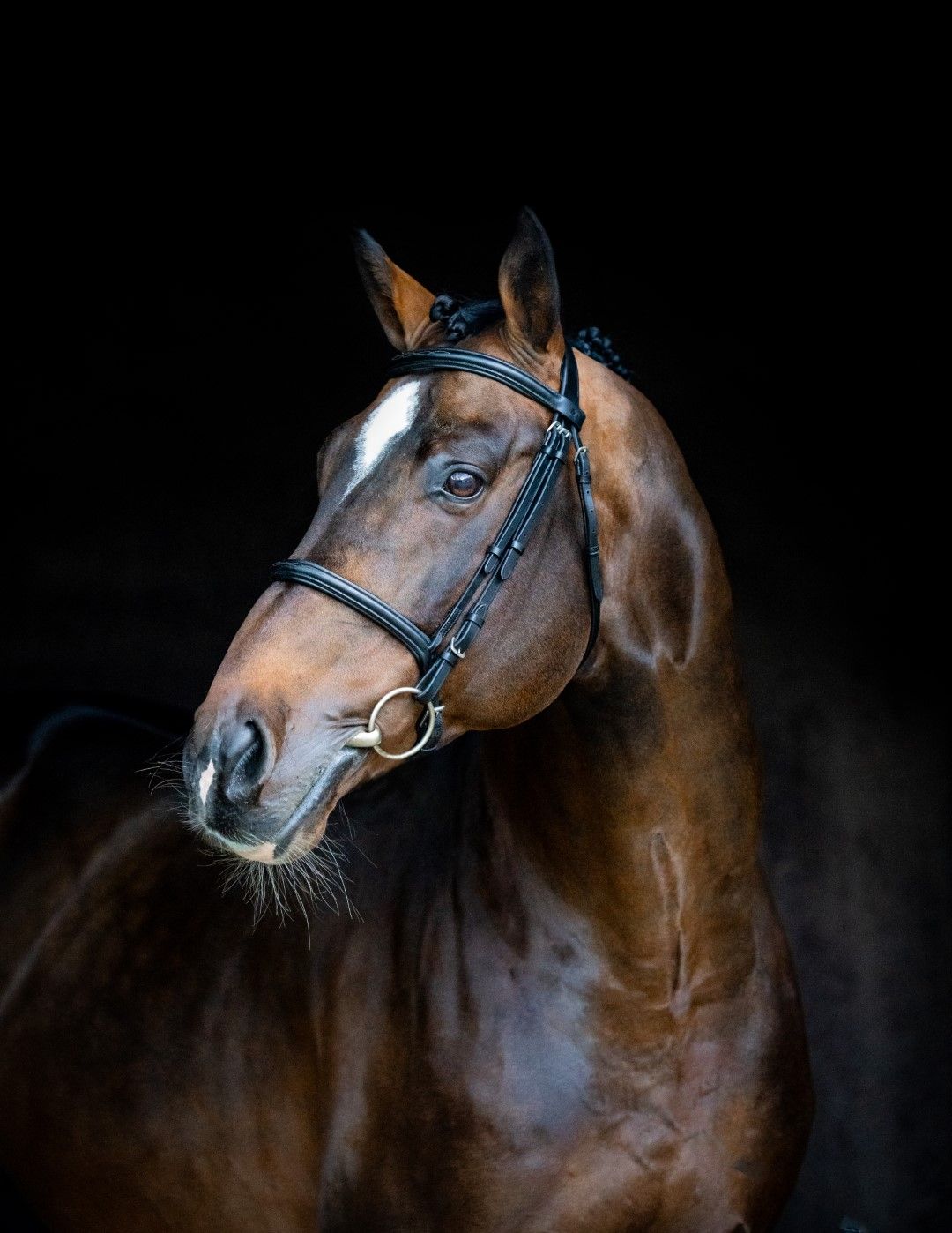 ⭐︎HORSE.Ⅱ2様⭐︎専用 5915-